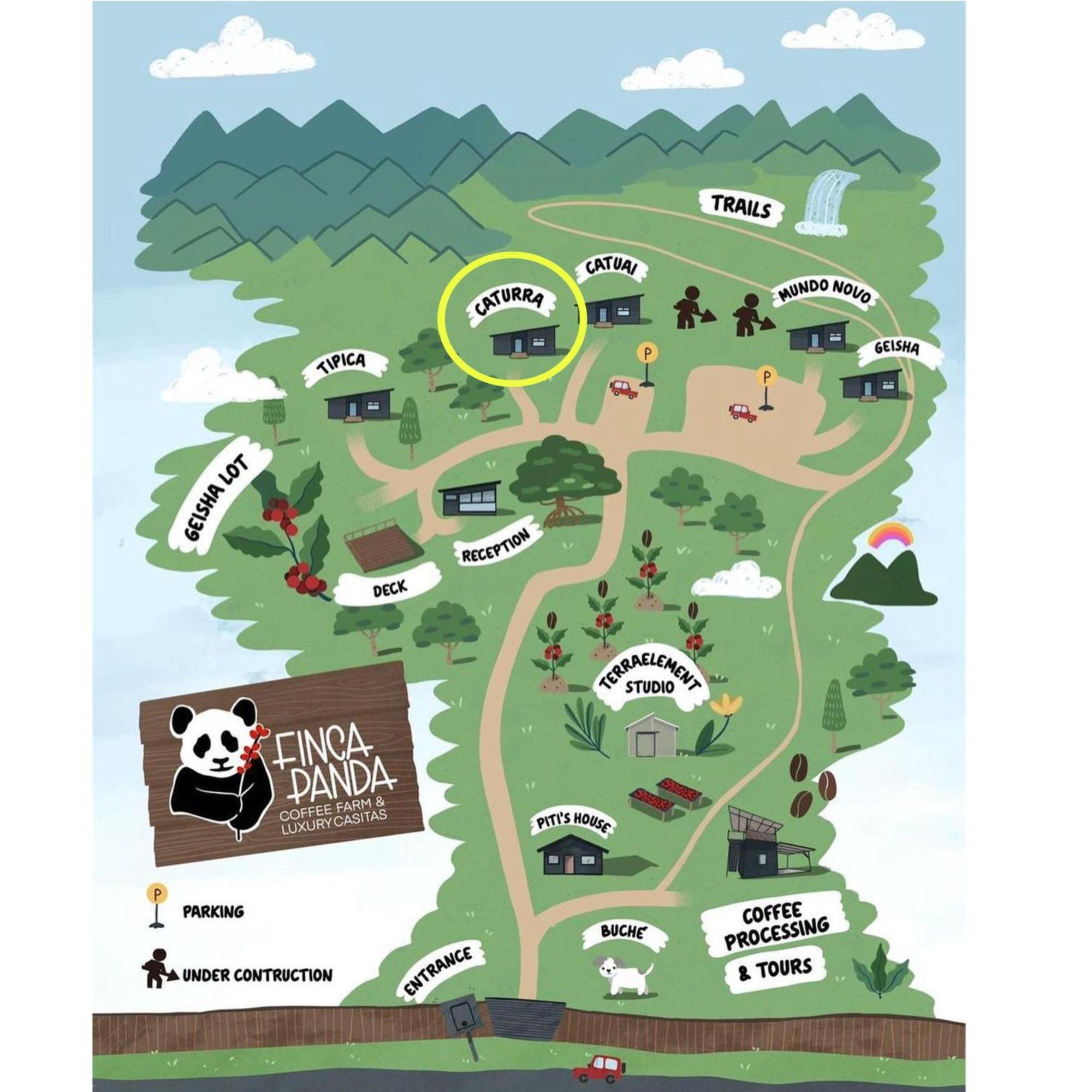 Finca Panda Boquete Ngoại thất bức ảnh